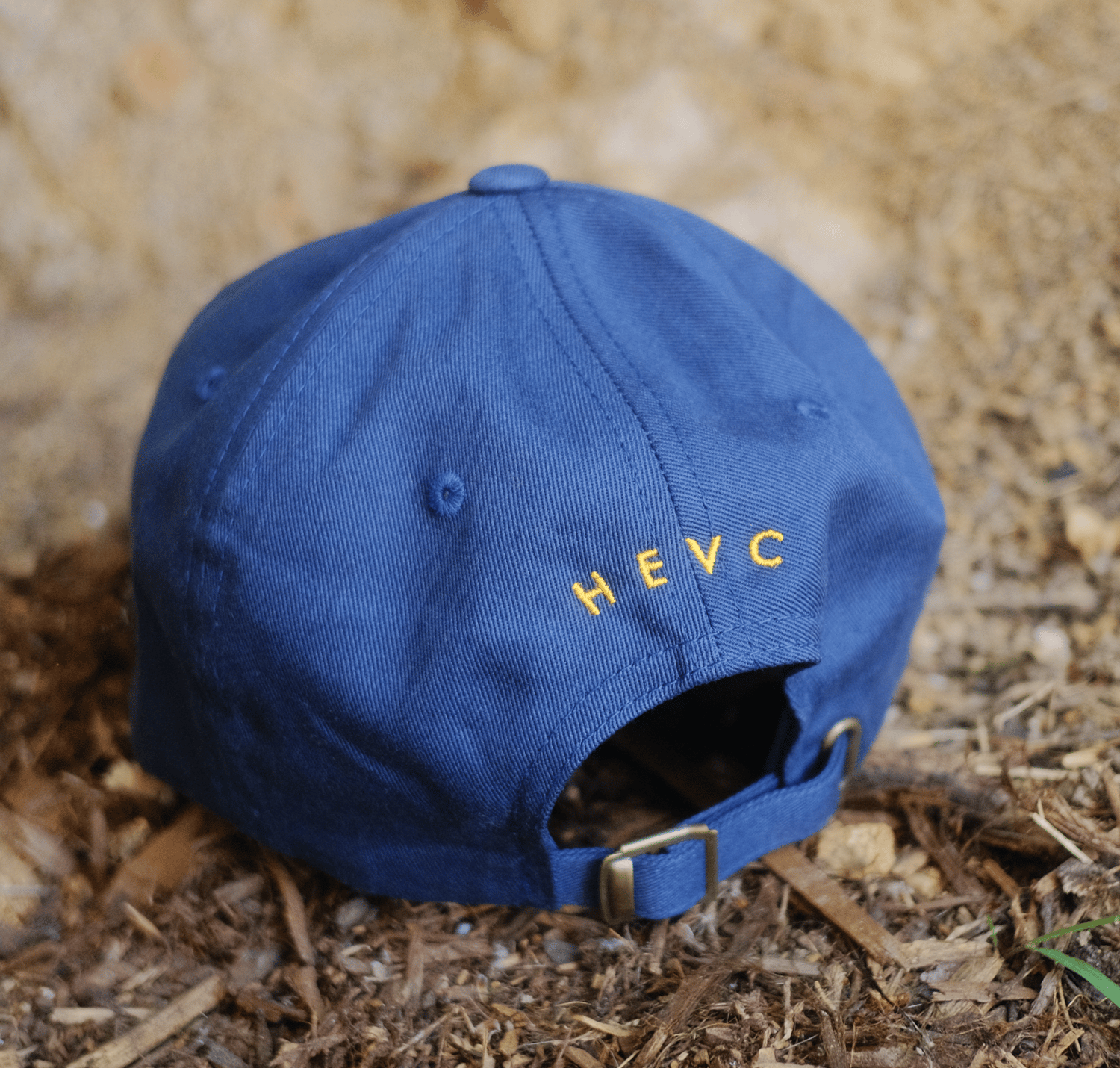 CODEC HATS *NEW H.265* | Alan Resnick